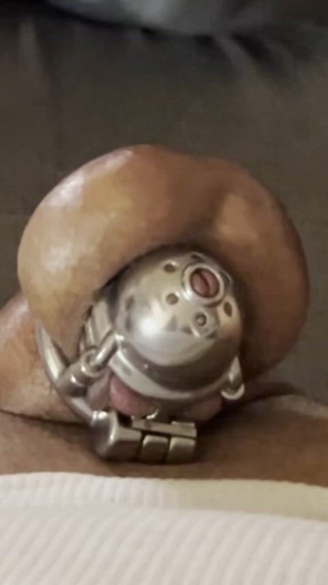 Mistress Dani Handjob in Chastity