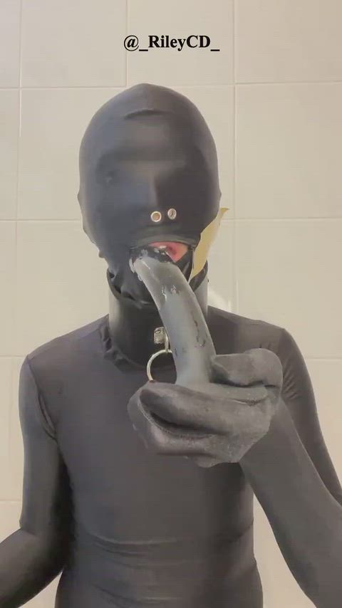 GiddyUnwieldyIndusriverdolphin thumbnail