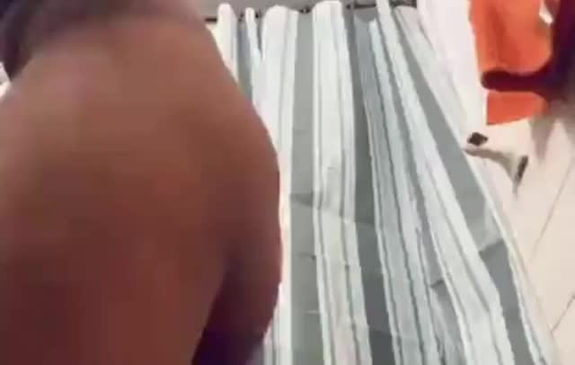 Latina Porn GIF by twittersluts