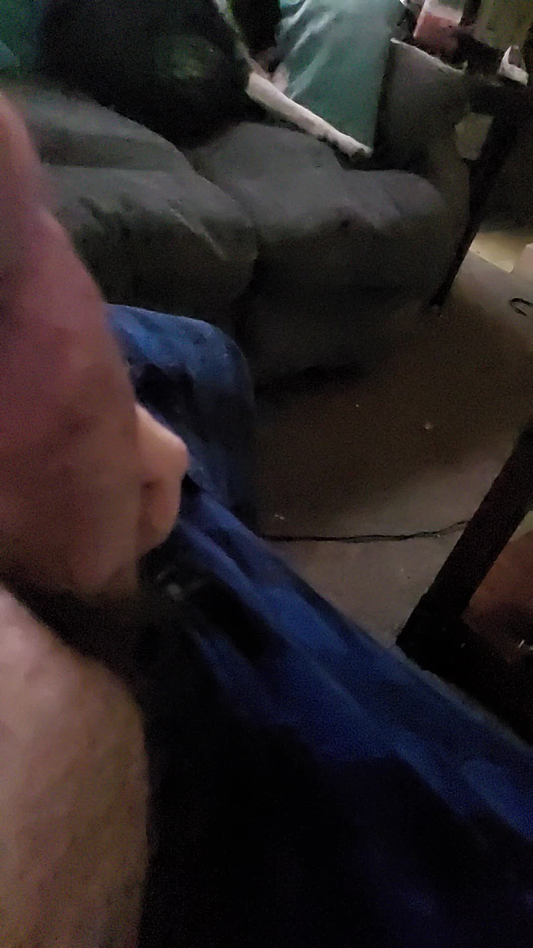 Like my dog?