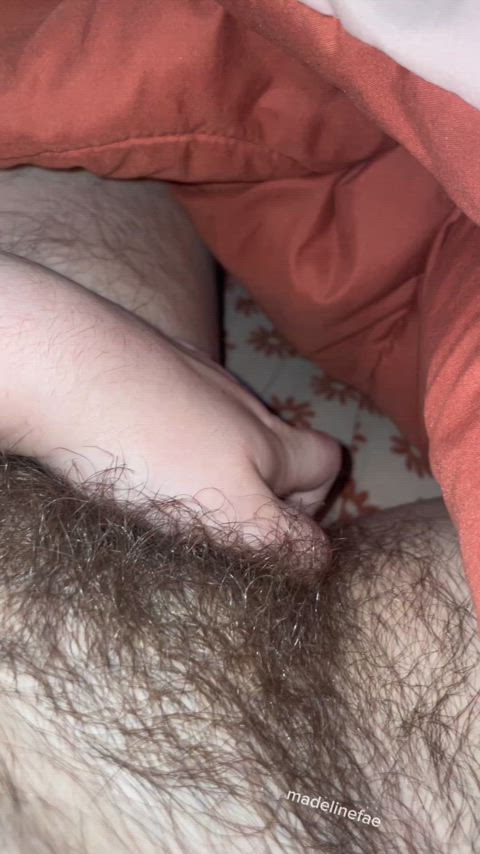 A bush grows best when it’s well hydrated..