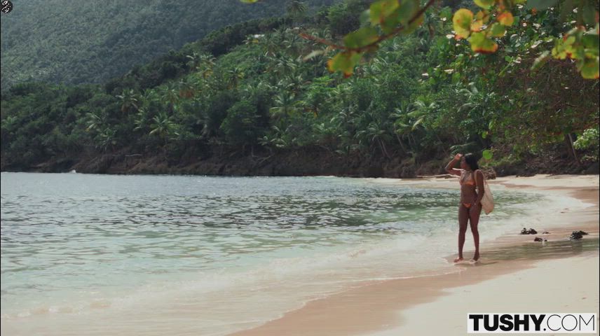 Nicole Kitt - Beautiful Tourist Gets Her Flawless Ass Filled