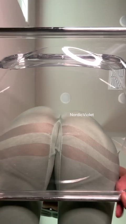 GlossyPungentSpider thumbnail