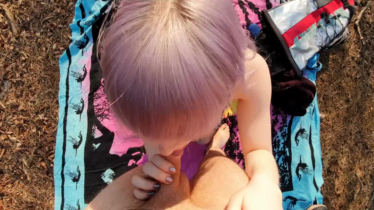 A perfect day for pinicking
