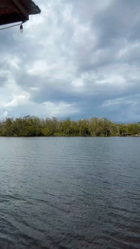 Freedom at the end of the dock