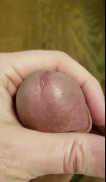 Any love for this?