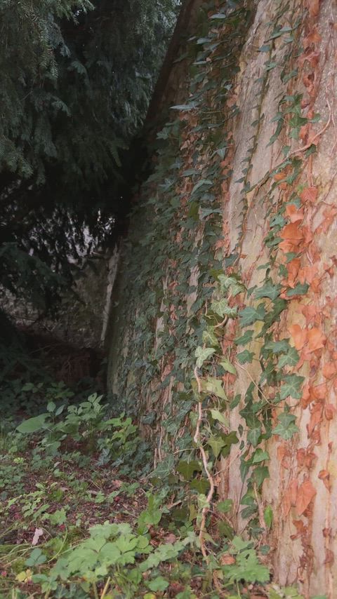 Today’s abstract art piece — made on raw wall