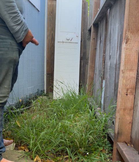 (28) The backyard looked like the perfect place for a huge morning piss