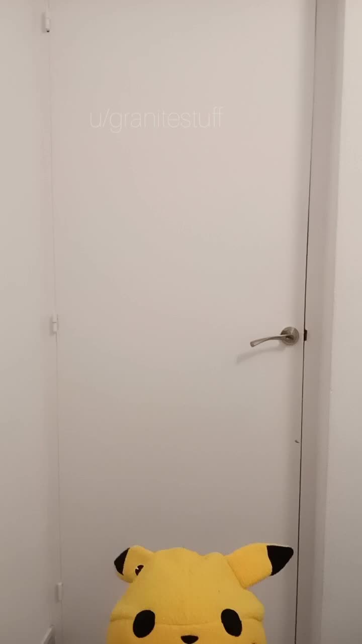A wild Pikachu has appeared!