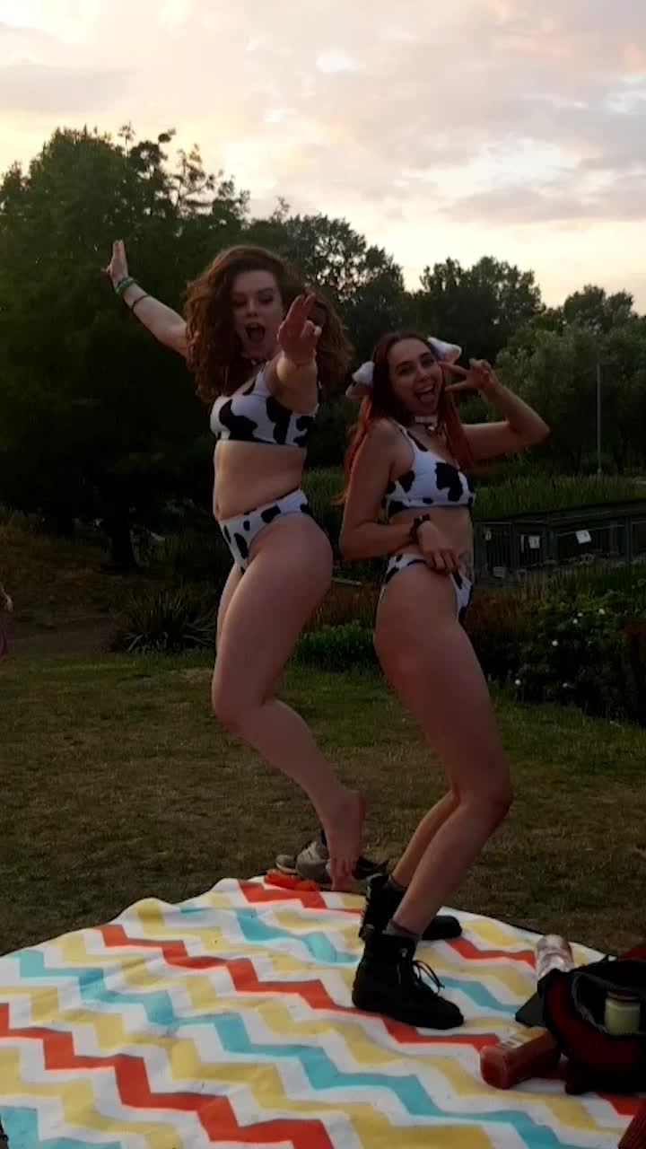 Just a couple of cows chilling in a field