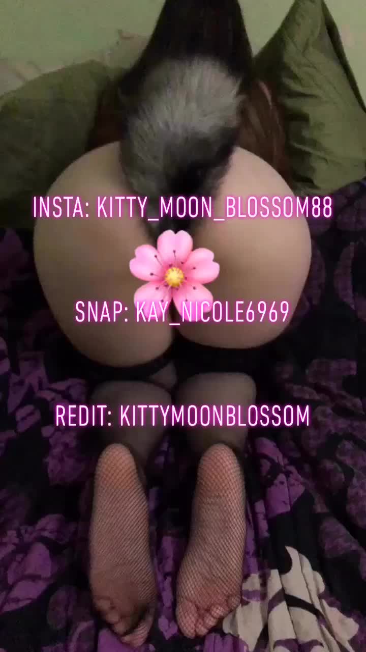 Having fun with my new tail! >w<