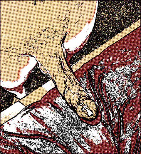GrayMutedAiredale thumbnail