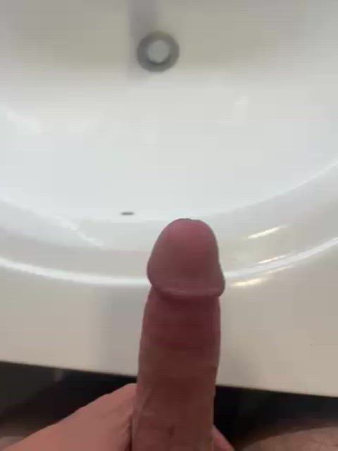 GreatPlumpTigerbeetle thumbnail