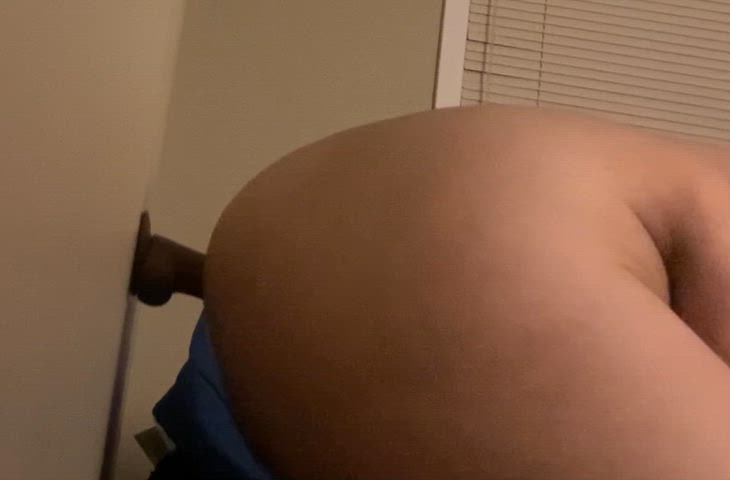 GreenWanBlackfootedferret thumbnail