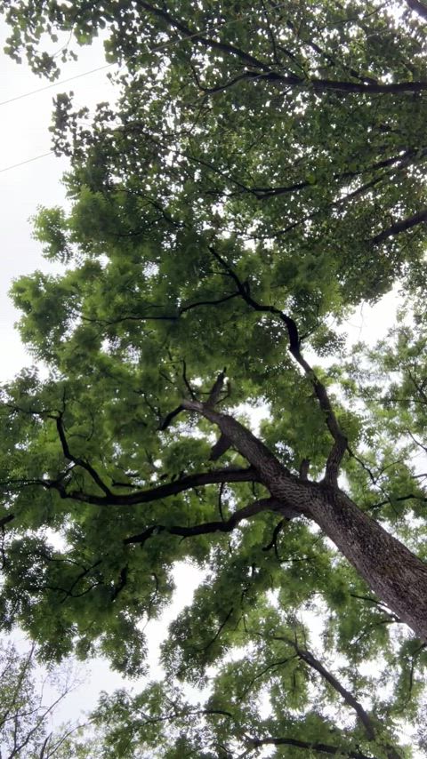 Morning walks don’t need panties😘