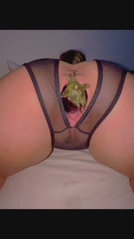 Big Ass Dildo Gape Huge Dildo Kinky Object Insertion Panties Stretched Stretching Taboo Porn GIF by gapegal