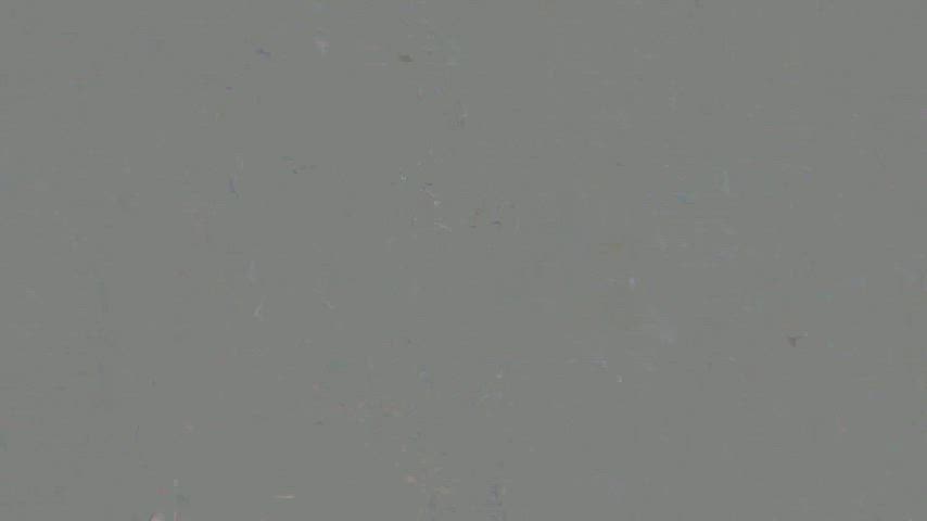 Amateur Big Tits Pussy Tits Porn GIF by sweetiefox
