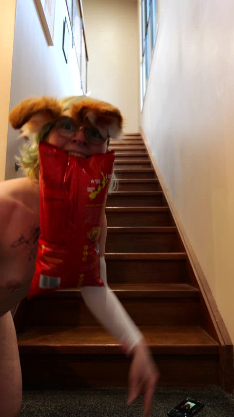 Grabbing food for the winter