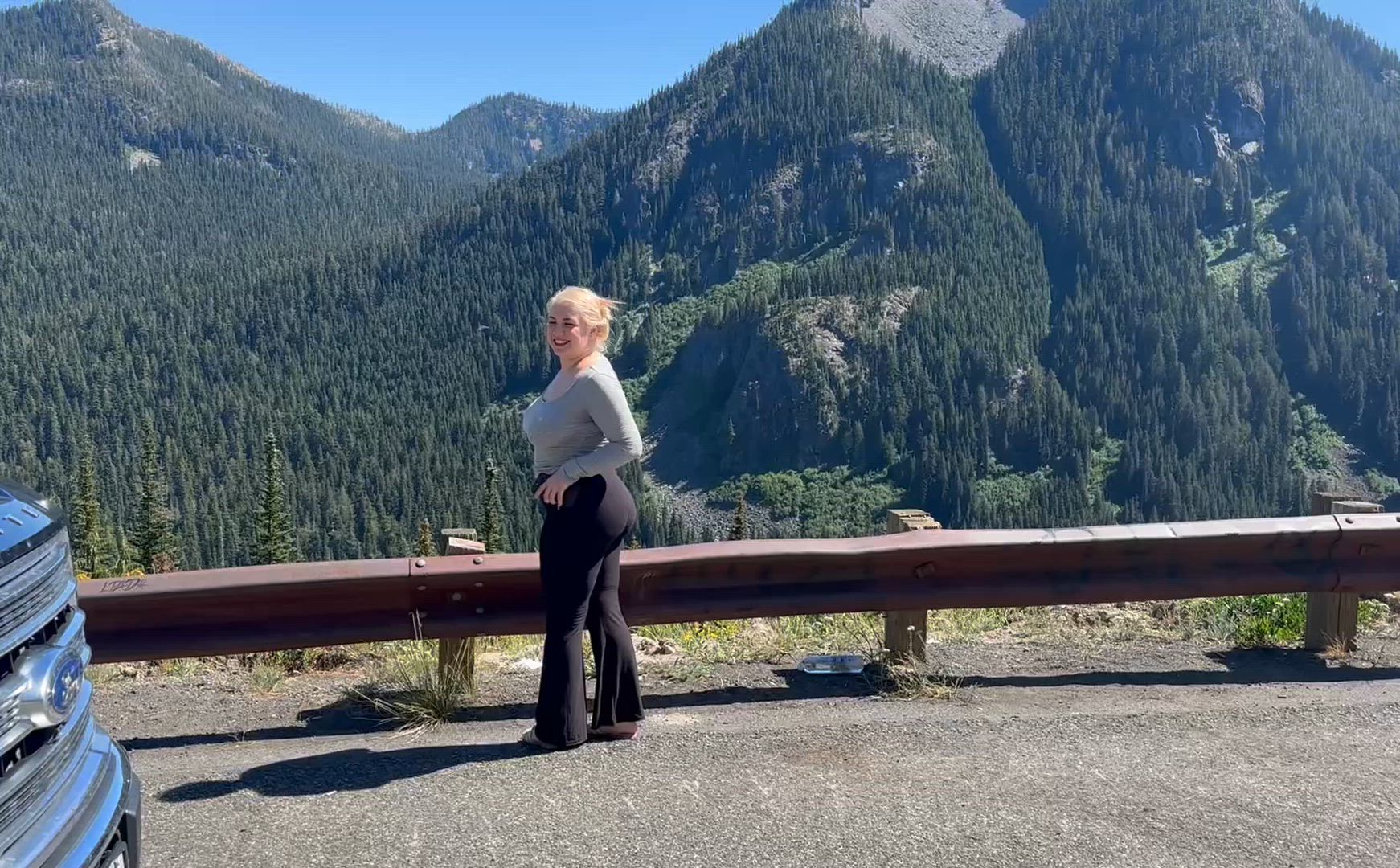 A wild Ass in its natural habitat