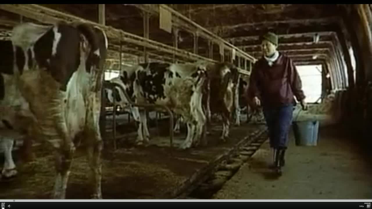 Japanese farm)