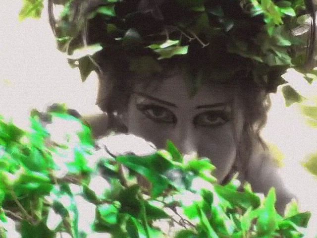 Blurred video preview