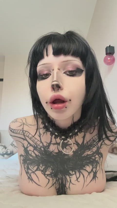 HardHotpinkJavalina thumbnail