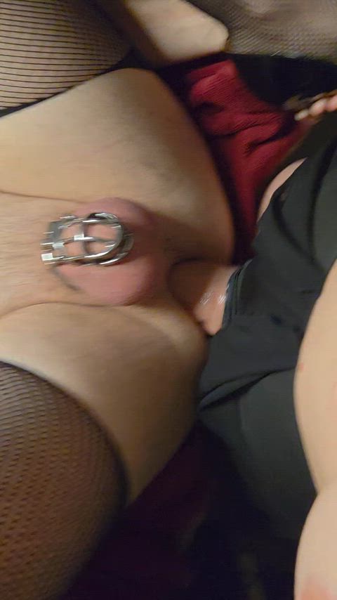 Amateur Chastity Crossdressing Femdom Homemade Huge Dildo Pegging Real Couple Porn GIF by hubmissive_susband