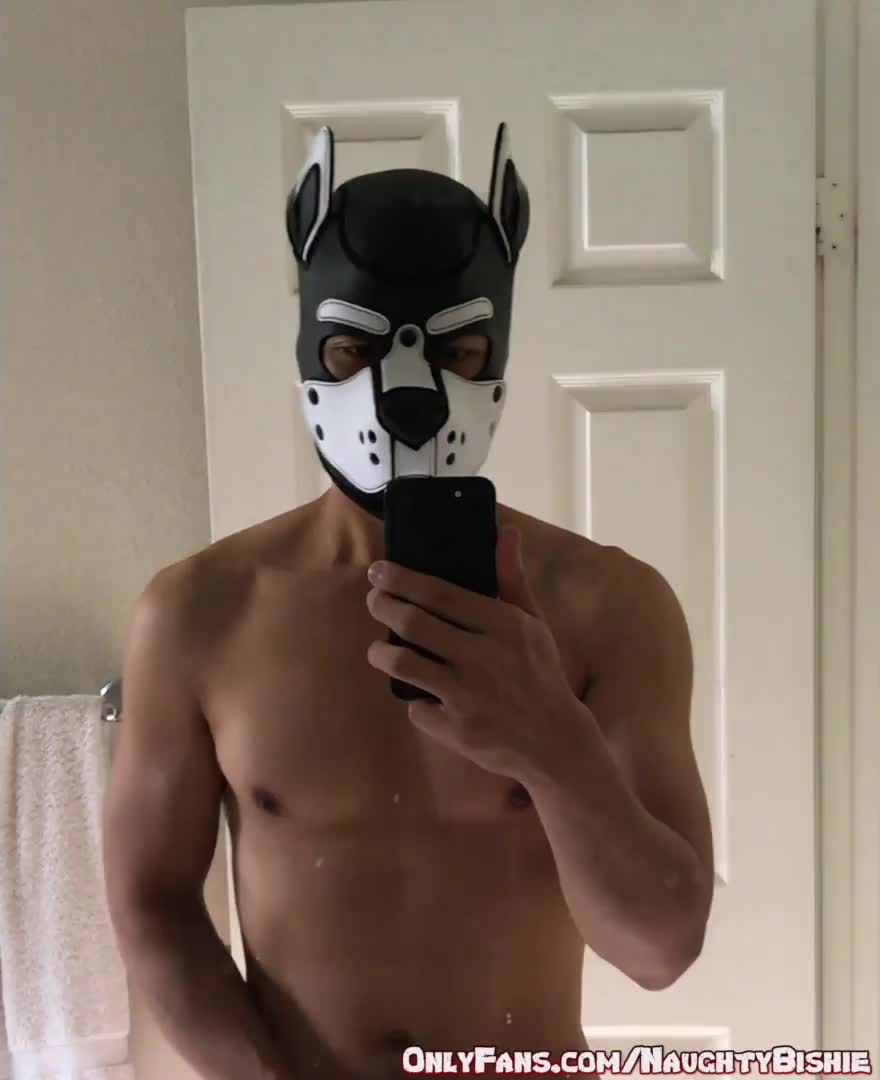 Would you adopt this pup?