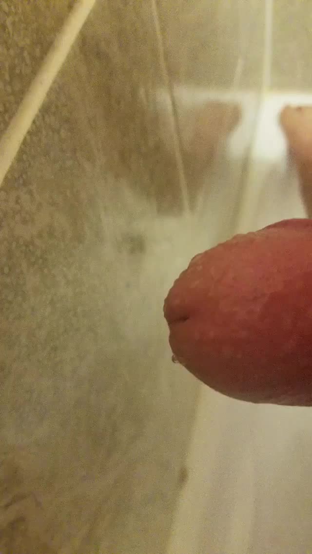 How about a close up.PMs comments welcum