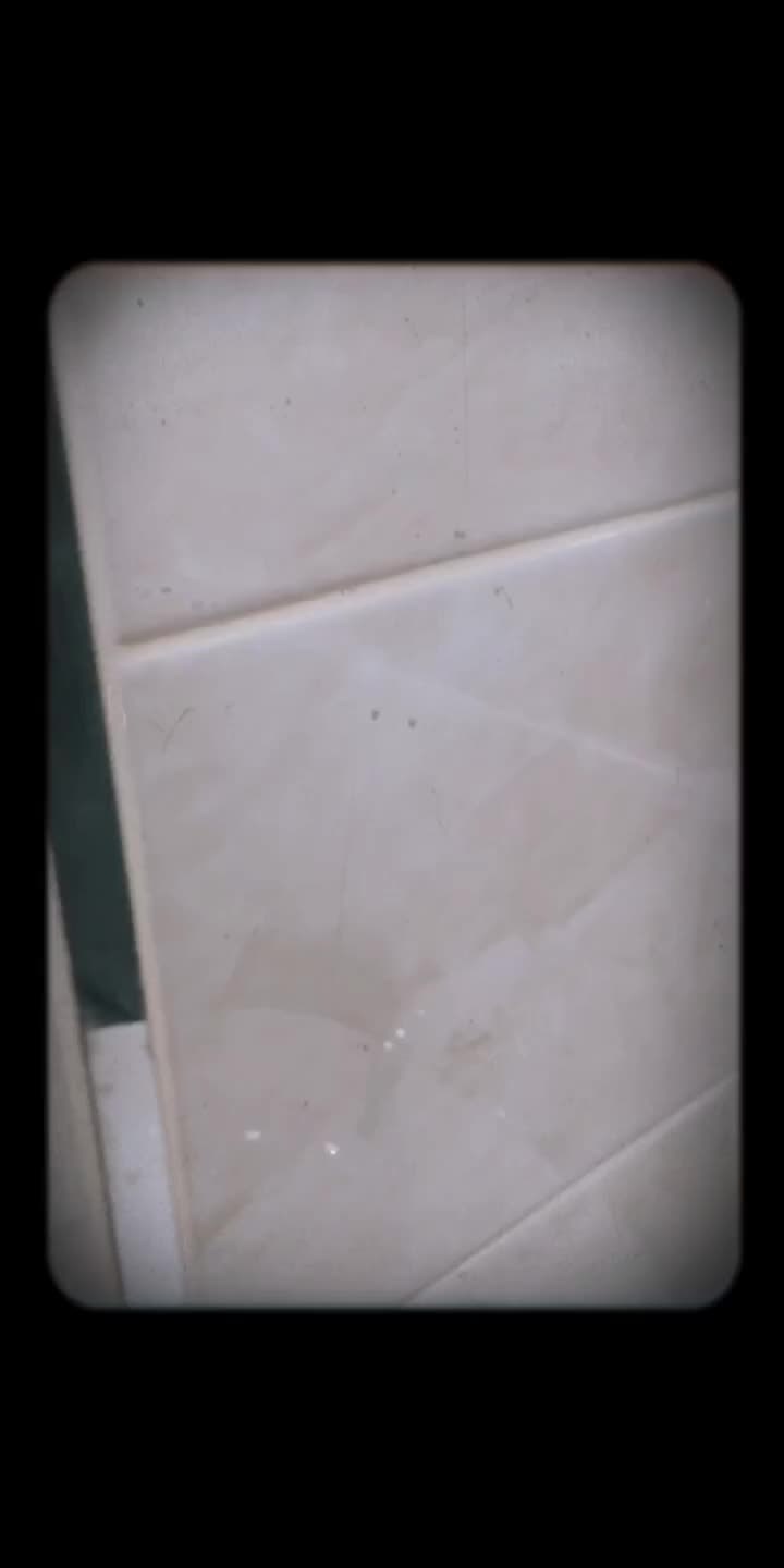 what do you think of me and my film? 29