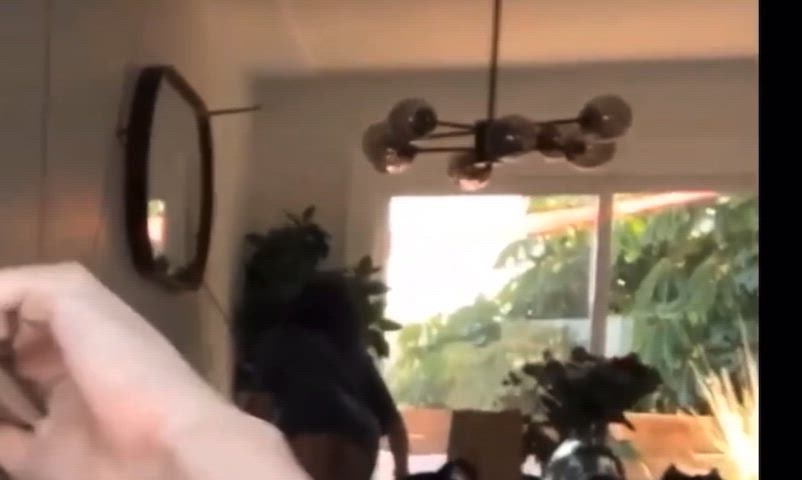 Amateur Ass Cute Porn GIF by xhsjsndnxjxnc