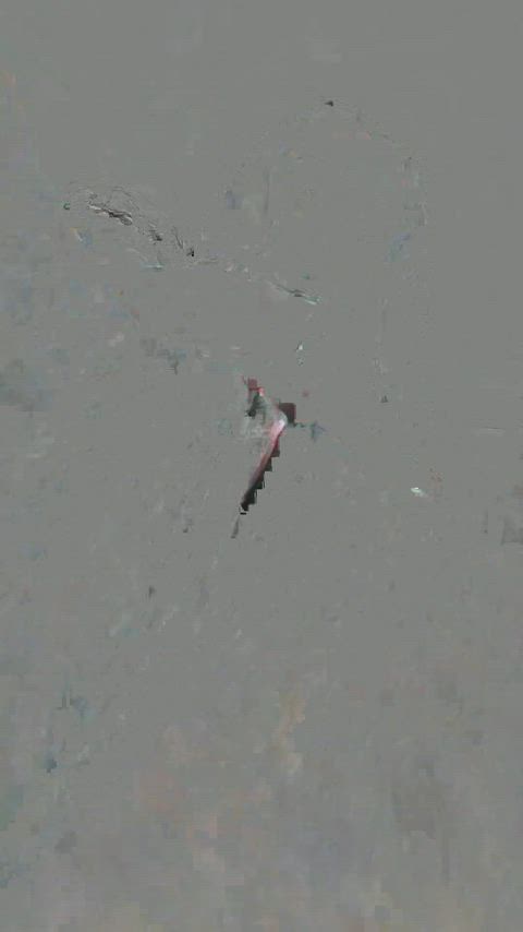 Is this pussy pretty or nah?