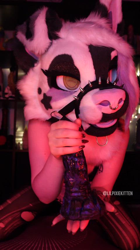 Stared with JOI then showing off my paws, ripping my tights, playing with my vibrator and riding a dildo until I cum in my new video 💦