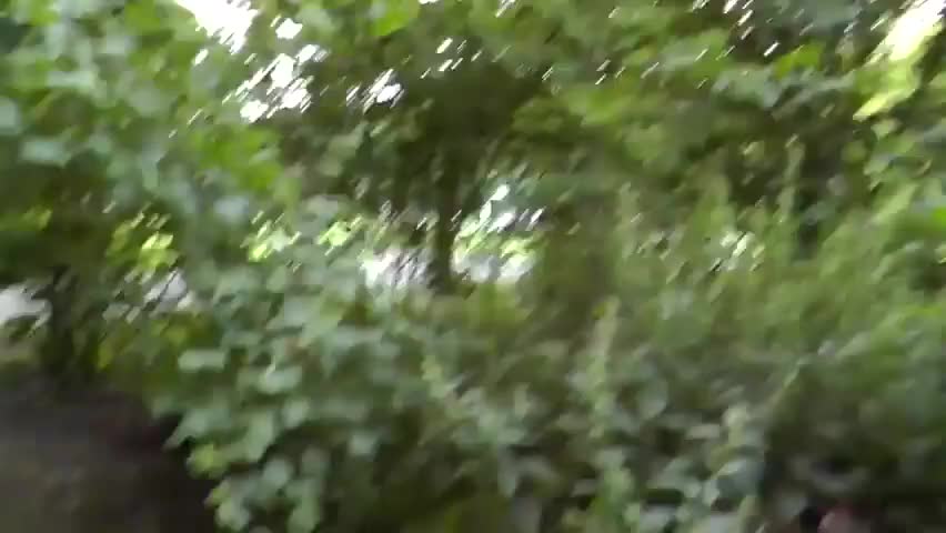 Risky handjob in the park !!