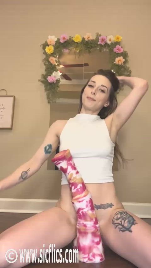 Slamming XL Horse Dick to The Belly!