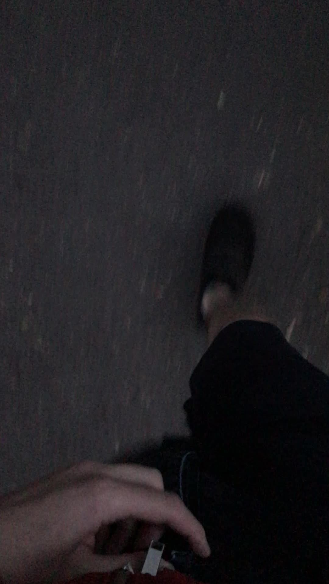 My morning walk