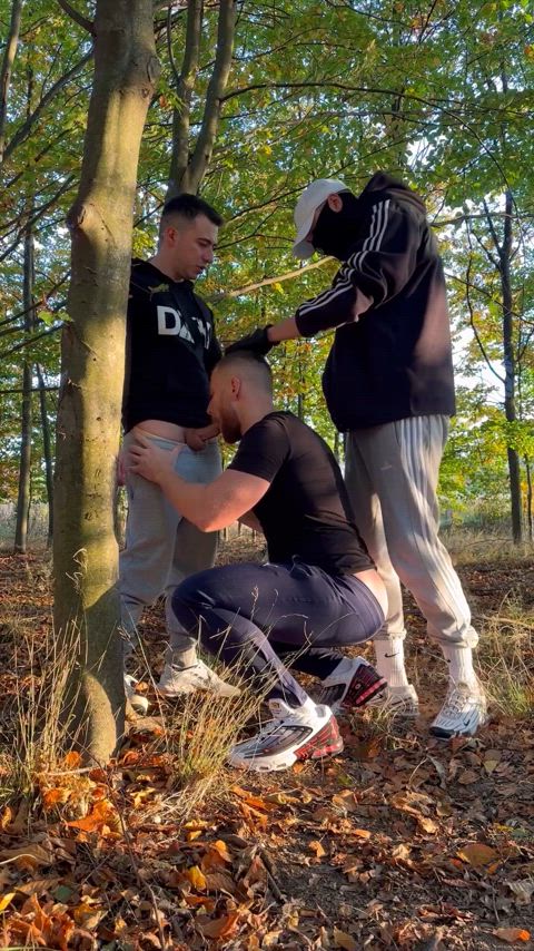 We got horny while walking in the park