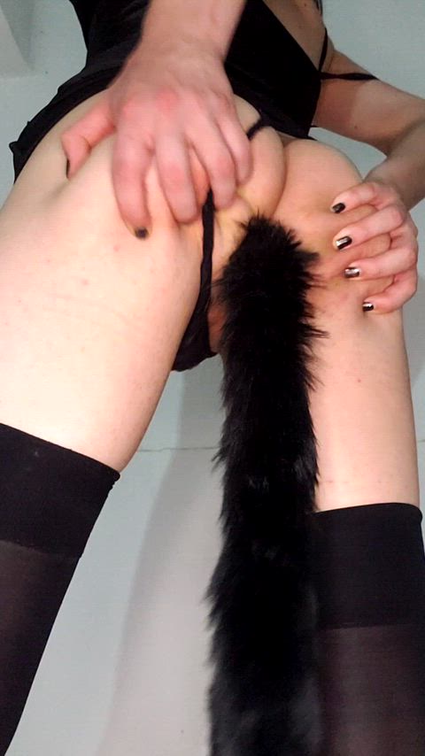 This hot cat wants you to take it out and put it in 🐈‍⬛