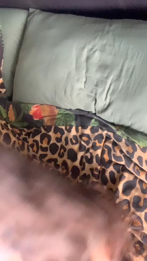 Everyone loves a new toy [f]