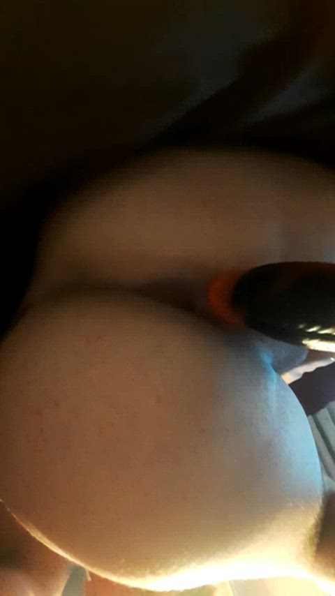 Is this ass breed able