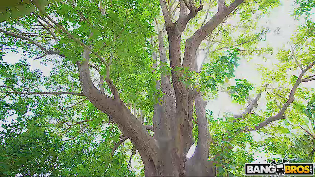 Ask Your Mom for Permission