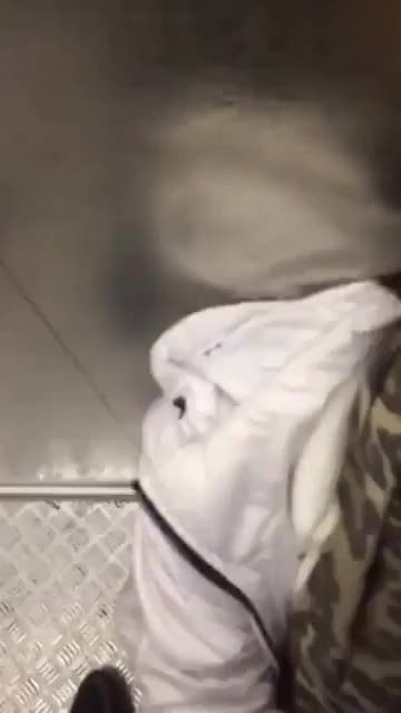 Friends in the elevator