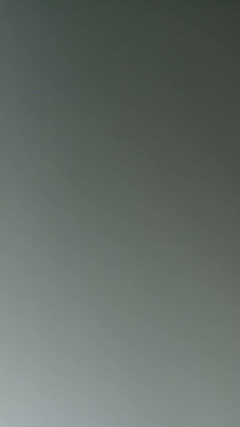IndianredQueasyPeccary thumbnail