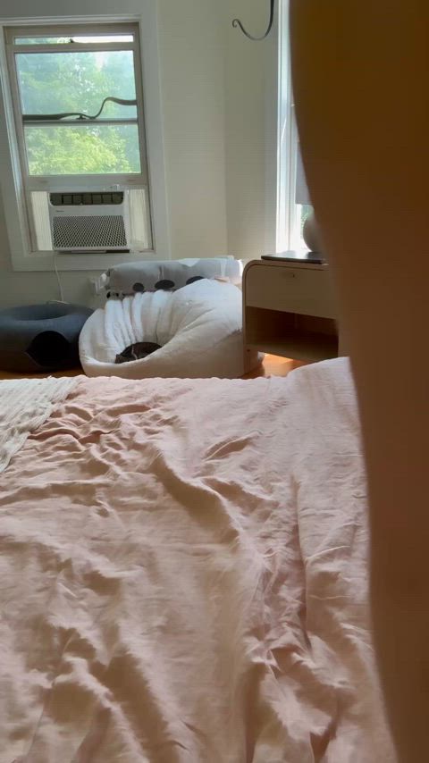 Would you jump on me or in me?