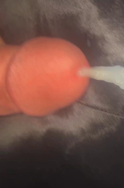 InfamousJampackedHound thumbnail