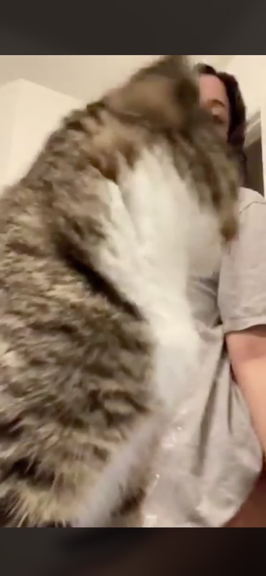 Damn cat, smh. 😩😂