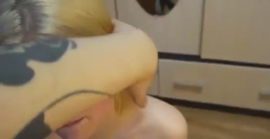 InsistentVigorousBluetickcoonhound thumbnail