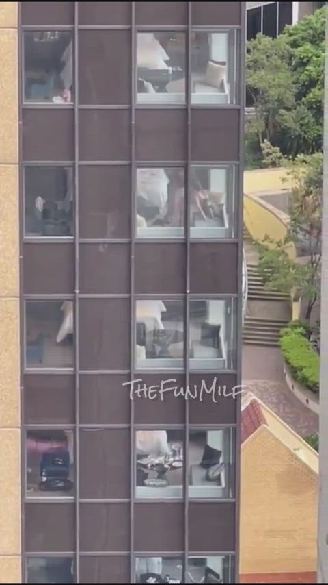 Cuckold Hotwife MILF Public Porn GIF by thefunmilf