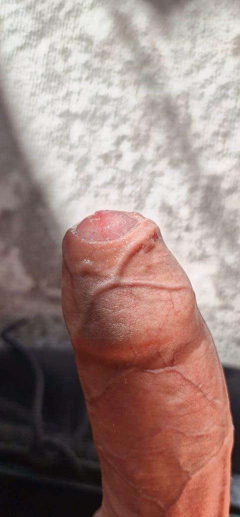 Precum in the sun (50)