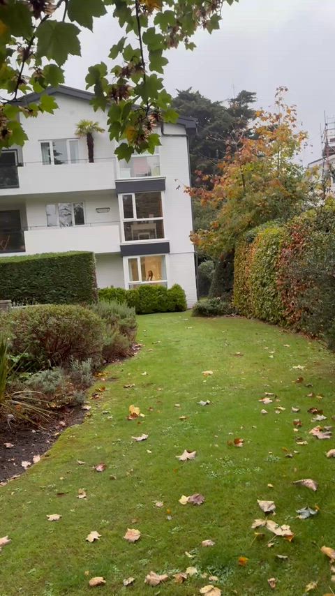 Welcome to the neighbourhood